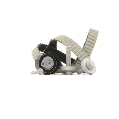 Image of 130704805R, 7701473120, 7701475115, 7701476571, 7701477012 Timing belt kit INA 530 0197 10 123 with screw RENAULT: CLIO 2, MEGANE 3 Coupe