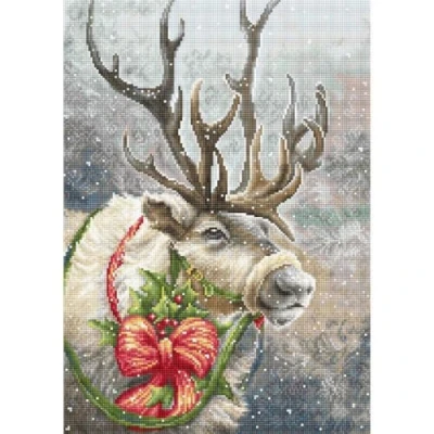 Image of Lucas Cross Stitch Set, Cotton, Multicoloured, 19x19cm