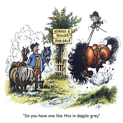 Image of Thelwell Horse riding greeting card. Dapple Grey. Fun cartoon