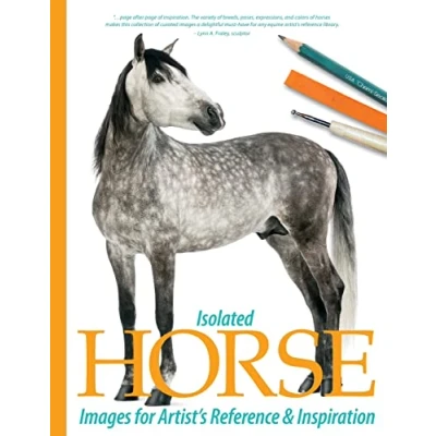 Image of Isolated Horse Images for Artist&#039;s Reference and Inspiration: Volume 2
