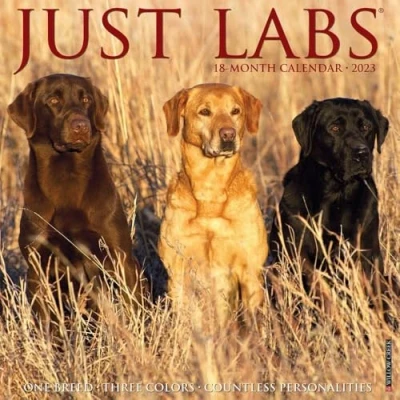 Image of Just Labs 2023 Wall Calendar