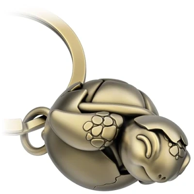 Image of FABACH Baby Turtle Keyring Shelly with Heart Cute Love Lucky Charm as a Gift for Partner Gifts, Antique bronze, 1, Modern