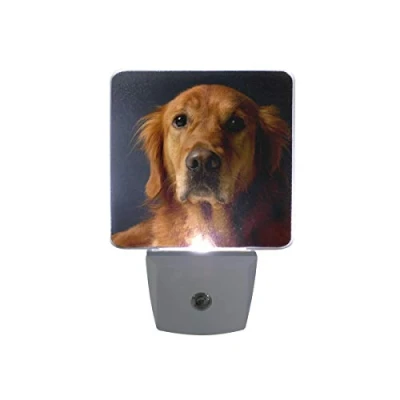 Image of hengpai Golden Retriever LED Night Light 2 Pack Auto Sensor Smart Dusk to Dawn Decorative Plug for Kids Bedroom Bathroom Kitchen Hallway Stairs