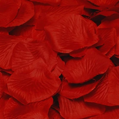 Image of Deluxe Rose Petal Confetti Burgandy