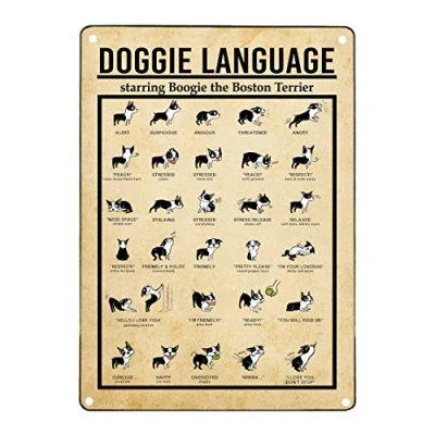 Image of Vintage Tin Sign Doggie Language Metal Knowledge Education Infographic Decoration Plaque for Bar Cafe Club 8x12 Inches
