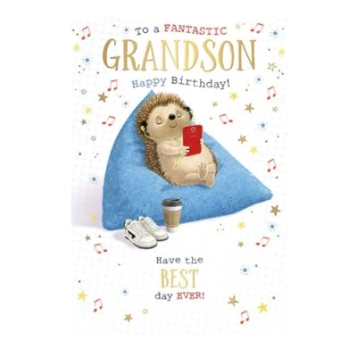 Image of Words &#039;n&#039; Wishes Fantastic Grandson Birthday Card for Boys Hedgehog Beanbag Relaxing Embossed with Foil Details Eco Friendly