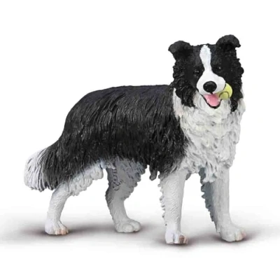 Image of CollectA Border Collie Realistic Hand Painted Dog Figure, Animal Toys &amp; Figures, Gifts For Toddlers Kids, Age 3 + Years Old