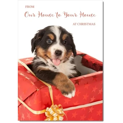 Image of doodlecards House To Christmas Card Dog in Parcel Medium Size for with Plain Envelope