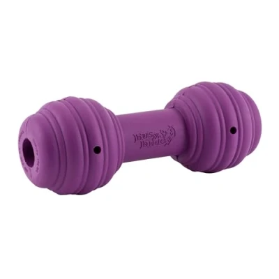 Image of PetSafe Busy Buddy Chuckle, Interactive Treat Dispensing Dog Toy, Chew Toy with Engaging Noise, purple