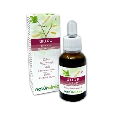 Image of Willow (Salix alba VAR. vitellina) Naturalma Bach Flowers Drops 30 ml Alcohol Free Liquid Extract Flower essences Vegan and Without