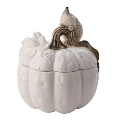 Image of Widdop and Co. Country Living White Glazed Ceramic Hedgehog Storage Pot. Home Decor Gifting Decorative Kitchen &amp; Dinner Parties + Animal Nature Lovers H: 18 x W: 15 D: cms.