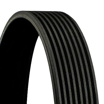 Image of 7420727693 V ribbed belt CONTITECH 8PK1390 1390mm 8 BMW: 6 Gran Coupe, 4 1 Hatchback