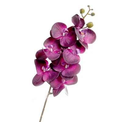 Image of Corsage Creations Real Touch Phalaenopsis Orchid Purple (8 heads, 99cm long)