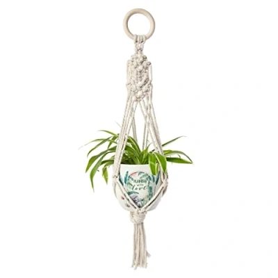 Image of Me To You Bear AGZ01157 Plant Pot, Grey, White, Green, One Size
