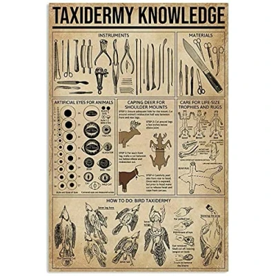 Image of Bioprocess Taxidermy Knowledge Gift For Beginners Kitchen Garden Wall Decor Poster Metal Sign 8X12 Inches