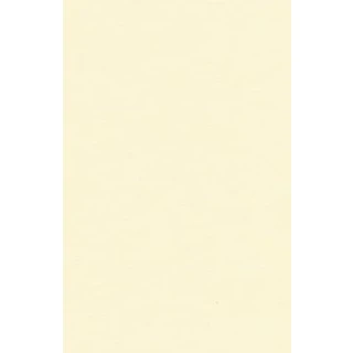 Image of 50 X Ivory A4 Vanguard Card V6 240gsm