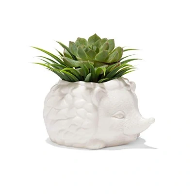 Image of KIKKERLAND Prickles the Hedgehog Planter Cute Ceramic Animal Succulent Plant Pot 7.8 cm x 14.8 13