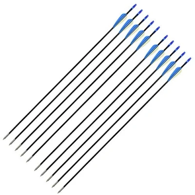 Image of DNA 10 X 26 Inch Black Fibreglass Field Point Archery Arrows for Both Compound Or Recurve Bows