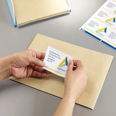 Image of Avery BlockOut Shipping Labels L7165 40