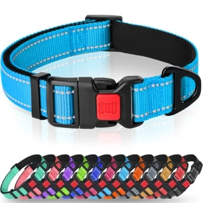 Image of Taglory Reflective Nylon Dog Collar with Safety Buckle, Adjustable Pet Collars Soft Neoprene Padding for Small Dogs, Sky Blue