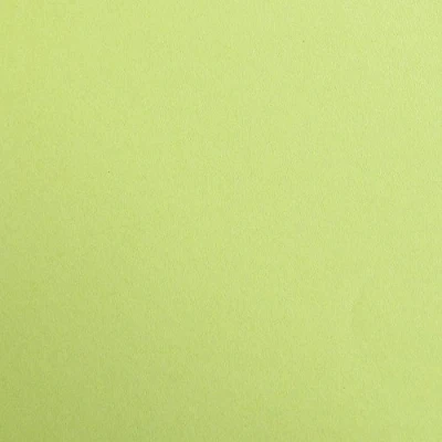 Image of Clairefontaine Ref 97152C Maya Coloured Smooth Drawing Paper (Pack of 25 Sheets) 120gsm 50 x 70cm Moss Green Colour Deep Dyed, Acid Free, pH Neutral