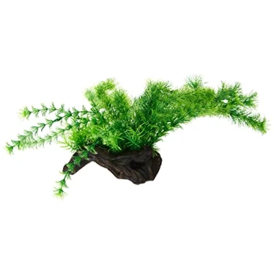 Image of Hobby Flora Root 3. L 30 cm. SB