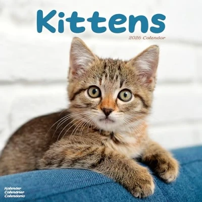 Image of Kittens Calendar 2026