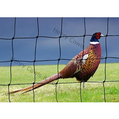 Image of Bird Netting For the Garden/Top Pens 14&#039; X 38mm Anti Pheasant Knotted Mesh 4.2m Heavy Duty Black Net