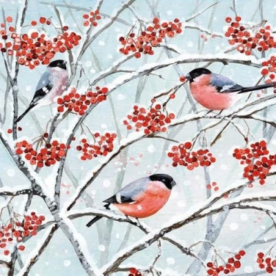 Image of Charity Christmas Cards Pack of 5 BHF, Marie Curie, Mind, NSPCC, Shelter Artistic festive Design Bullfinches and Berries Made in the UK Eco Friendly