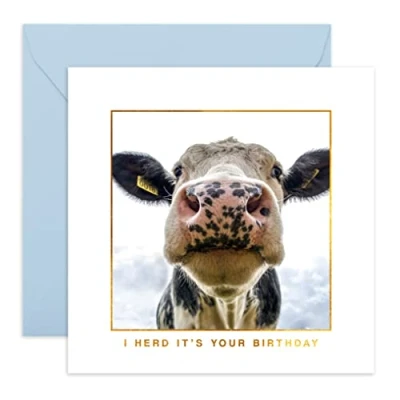 Image of Central 23 Funny Birthday Card For Husband &#039;I Herd It&#039;s Your Birthday&#039; Dad Cow Farm Jokes Pun Humor Cards Friends Gifts Mum Comes With Stickers