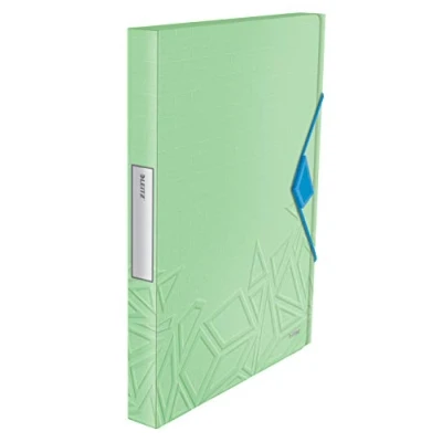 Image of Leitz Box File, Holds up to 250 A4 Sheets, Elastic Closure, Flexible Plastic, Green, Urban Chic Range, 39480050
