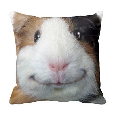 Image of EHSaleStore Smiling Guinea Pig Cotton Square Throw Pillow Case Cushion Cover 18 x inches