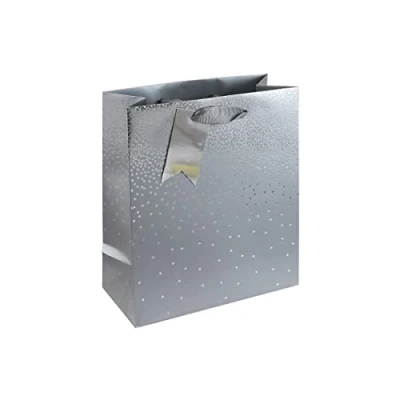 Image of Eurowrap Silver Ombre Birthday Occasions Gift Bag with Tag (Medium Silver)