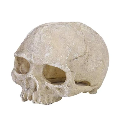 Image of Pssopp Aquarium Skull Ornaments Resin Artificial Head Skeleton Decoration Fish Tank Decorative Hiding Cave Landscape Terrarium Reptile