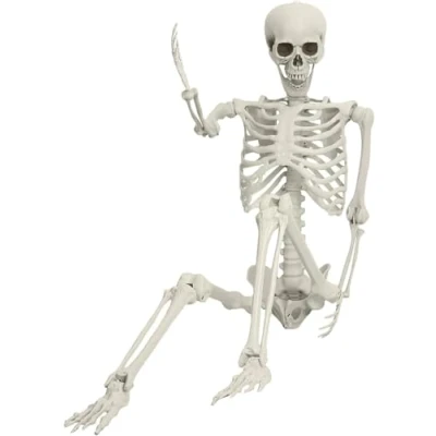 Image of Calager Halloween Skeleton Decoration,5.4ft Realistic Full Body Movable Posable Joints Skeleton,Halloween Plastic Skeleton,Posable Life Size Human Decoration for Haunted House (White)