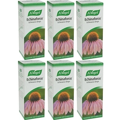 Image of (6 PACK) A Vogel Echinaforce Drops 100ml 6 PACK BUNDLE