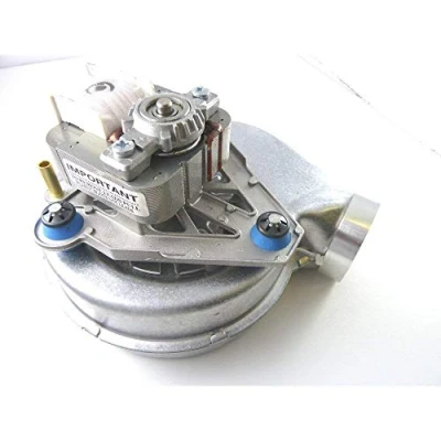 Image of Glow worm Fan S227033