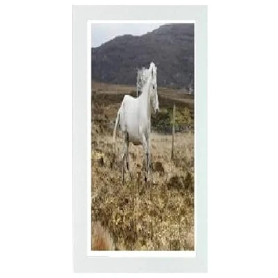 Image of White Picture Frames/Photo Frames 40X60CM