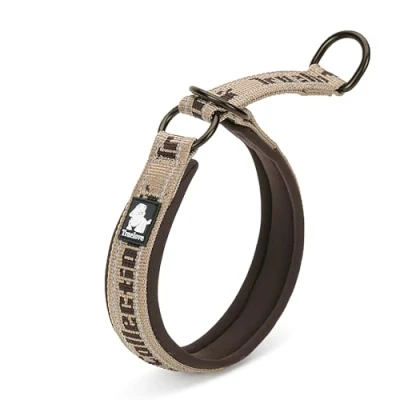 Image of Truelove Dog Choke Collar Reflective Slip No Pull Comfortable Martingale Pet Training TLC5371(Brown,3XL)