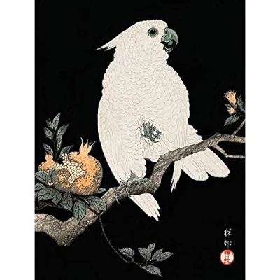 Image of Wee Blue Coo Cockatoo Pomegranate Ohara Koson Art Print Poster Wall Decor 12X16 Inch