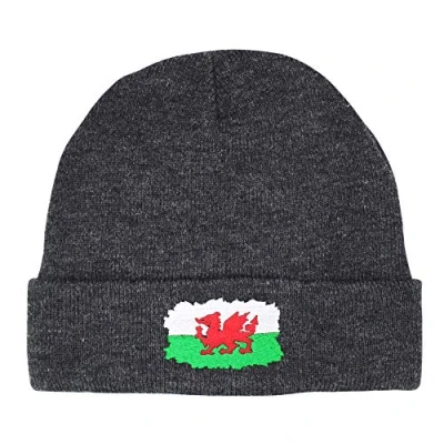 Image of TeddyTs Men&#039;s Wales Flag Thermal Knit Beanie Hat (Grey)