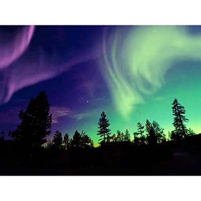 Image of Fine Art Prints Pine Trees Silhouette Northern Lights Large Wall Print Canvas Premium Poster, 18 x 24 inches