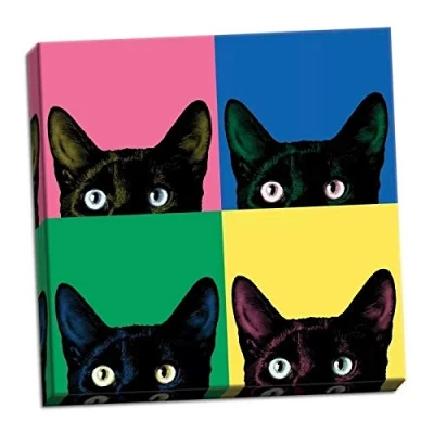 Image of XuFan Wall Art Poster HD Black Cat Animal Prints Modular Colorful Pictures Canvas Painting Home Gift Decoration For Living Room 40x40cm no frame