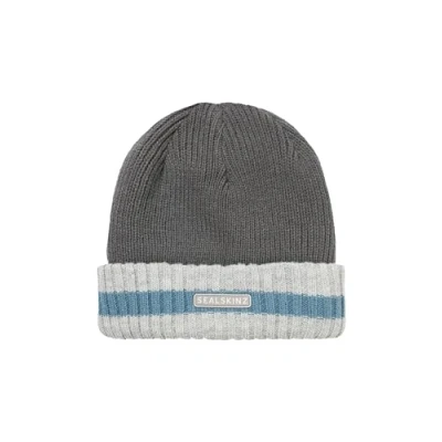 Image of SEALSKINZ Holkham Unisex Waterproof Cold Weather Striped Roll Cuff Beanie Hat for Everyday &amp; Outdoor Activities Warm Fleece Lining Three Layer Insulation Technology Light Grey