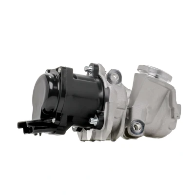 Image of Y60520300, Y60520300A, Y60520300B, Y60520300C EGR Valve PIERBURG 7.24809.39.0 Electric Solenoid with seal FORD: Focus 2, FIESTA 6, Fusion Estate