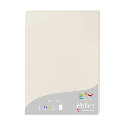 Image of Clairefontaine Ref 24268C Pollen Coloured Paper (Pack of 25 Sheets) A4 (210 x 297mm), 210gsm Paper, Inkjet &amp; Laser Printer Compatible, Acid Free Pearl Grey