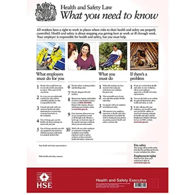 Image of Health and Safety Law What You Need to Know by Executive (HSE) ( Author ) ON Mar 31 2009, Poster