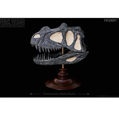 Image of Everything Dinosaur Rebor Oddities Fossil Studies Ceratosaurus dentisulcatus Museum Class Skull Replica