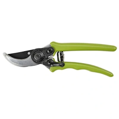 Image of Burgon &amp; Ball Sheffield RHS Endorsed Micro Secateur, 16 cm Length, Light Green