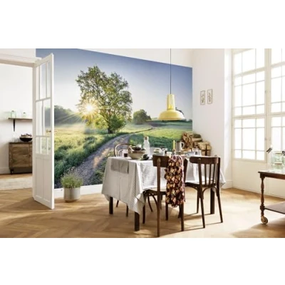 Image of Komar Photo Wallpaper Meadow Trail Size 368 x 254 cm Sun Morning Landscape Dining Room Living Bedroom